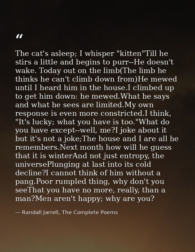 The cat's asleep; I whisper "kitten"Till he stirs a little and begins to purr--He doesn't wake. Today out on the limb(Th — Randall Jarrell, The Complete Poems