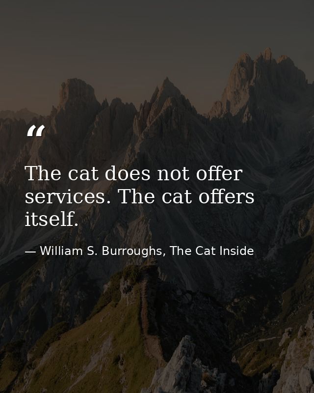 The cat does not offer services. The cat offers itself. — William S. Burroughs, The Cat Inside