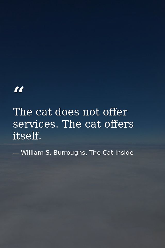 The cat does not offer services. The cat offers itself. — William S. Burroughs, The Cat Inside