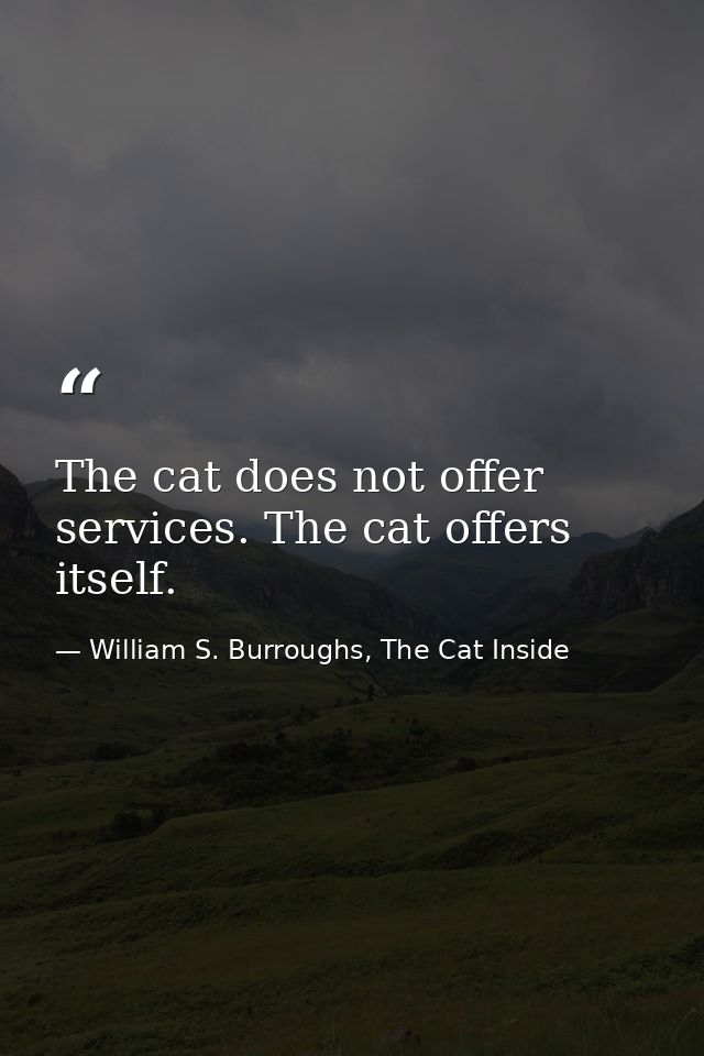 The cat does not offer services. The cat offers itself. — William S. Burroughs, The Cat Inside