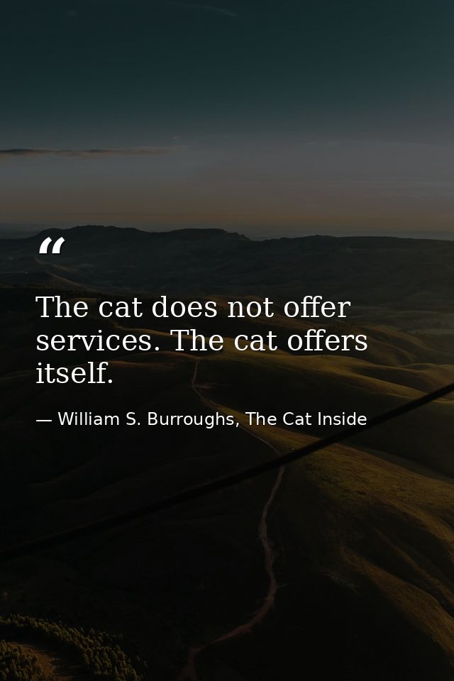 The cat does not offer services. The cat offers itself. — William S. Burroughs, The Cat Inside
