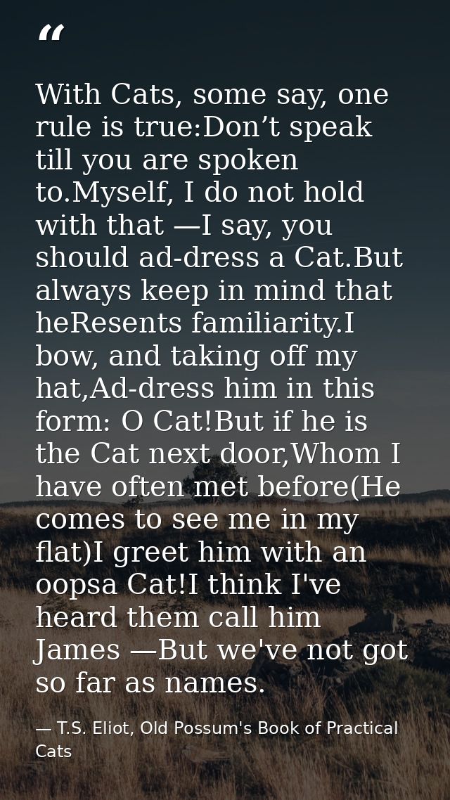 With Cats, some say, one rule is true:Don’t speak till you are spoken to.Myself, I do not hold with that —I say, you sho — T.S. Eliot, Old Possum's Book of Practical Cats
