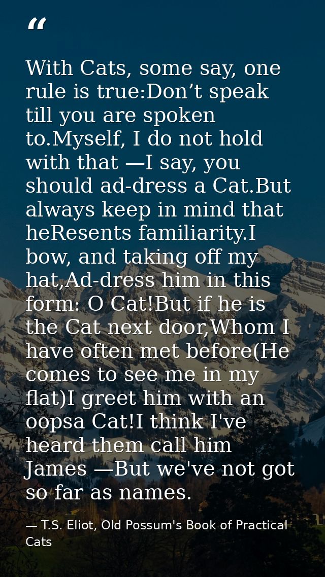 With Cats, some say, one rule is true:Don’t speak till you are spoken to.Myself, I do not hold with that —I say, you sho — T.S. Eliot, Old Possum's Book of Practical Cats