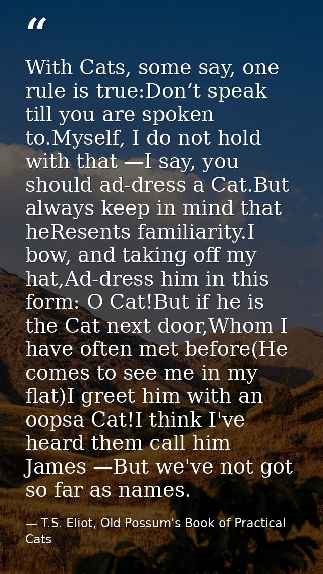 With Cats, some say, one rule is true:Don’t speak till you are spoken to.Myself, I do not hold with that —I say, you sho — T.S. Eliot, Old Possum's Book of Practical Cats