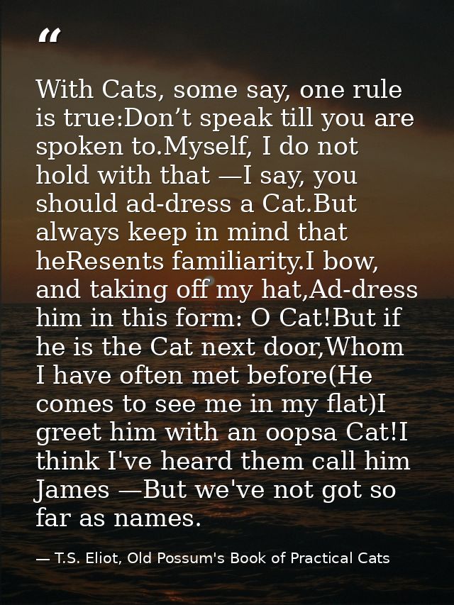 With Cats, some say, one rule is true:Don’t speak till you are spoken to.Myself, I do not hold with that —I say, you sho — T.S. Eliot, Old Possum's Book of Practical Cats
