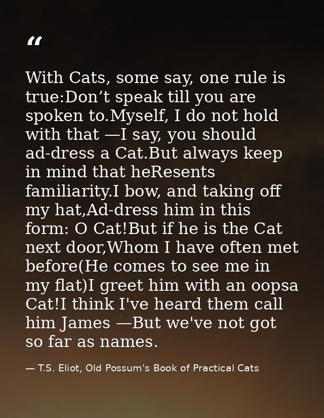 With Cats, some say, one rule is true:Don’t speak till you are spoken to.Myself, I do not hold with that —I say, you sho — T.S. Eliot, Old Possum's Book of Practical Cats