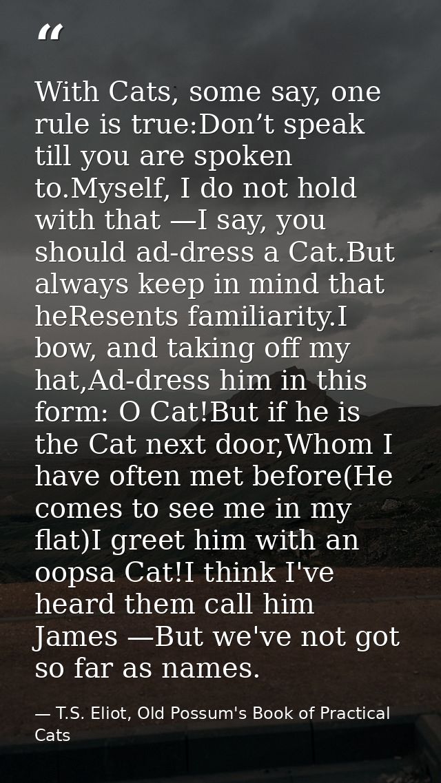 With Cats, some say, one rule is true:Don’t speak till you are spoken to.Myself, I do not hold with that —I say, you sho — T.S. Eliot, Old Possum's Book of Practical Cats