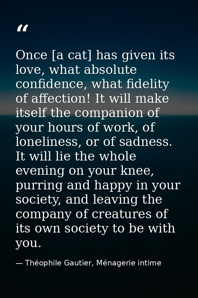Once [a cat] has given its love, what absolute confidence, what fidelity of affection! It will make itself the companion — Théophile Gautier, Ménagerie intime