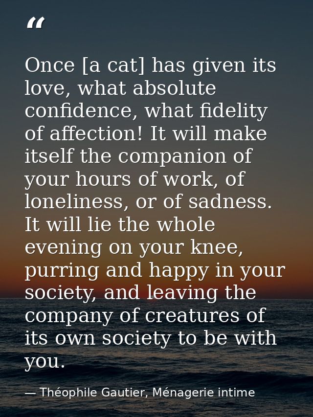 Once [a cat] has given its love, what absolute confidence, what fidelity of affection! It will make itself the companion — Théophile Gautier, Ménagerie intime