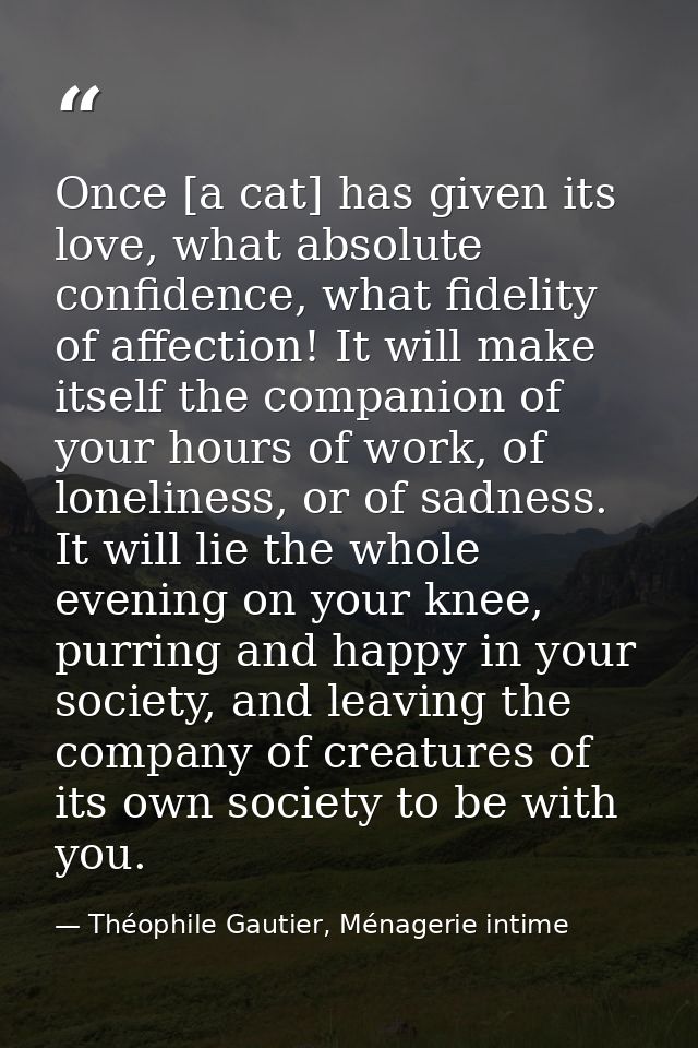 Once [a cat] has given its love, what absolute confidence, what fidelity of affection! It will make itself the companion — Théophile Gautier, Ménagerie intime