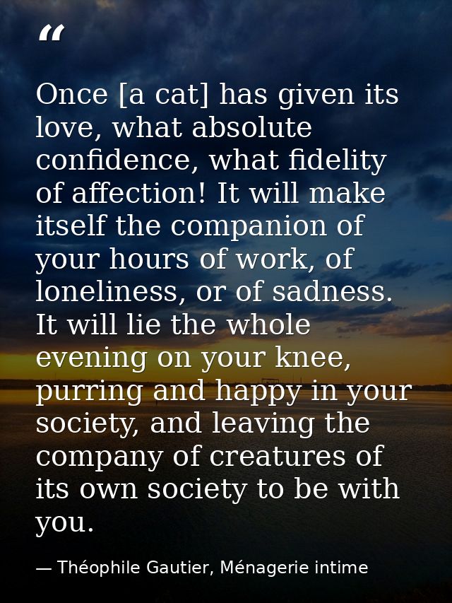 Once [a cat] has given its love, what absolute confidence, what fidelity of affection! It will make itself the companion — Théophile Gautier, Ménagerie intime