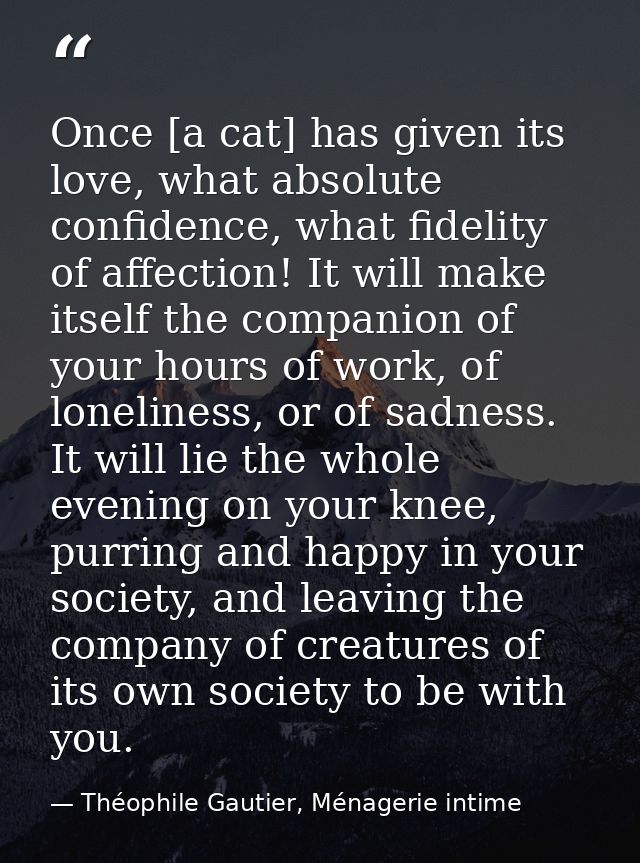 Once [a cat] has given its love, what absolute confidence, what fidelity of affection! It will make itself the companion — Théophile Gautier, Ménagerie intime