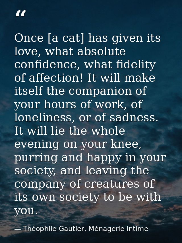 Once [a cat] has given its love, what absolute confidence, what fidelity of affection! It will make itself the companion — Théophile Gautier, Ménagerie intime