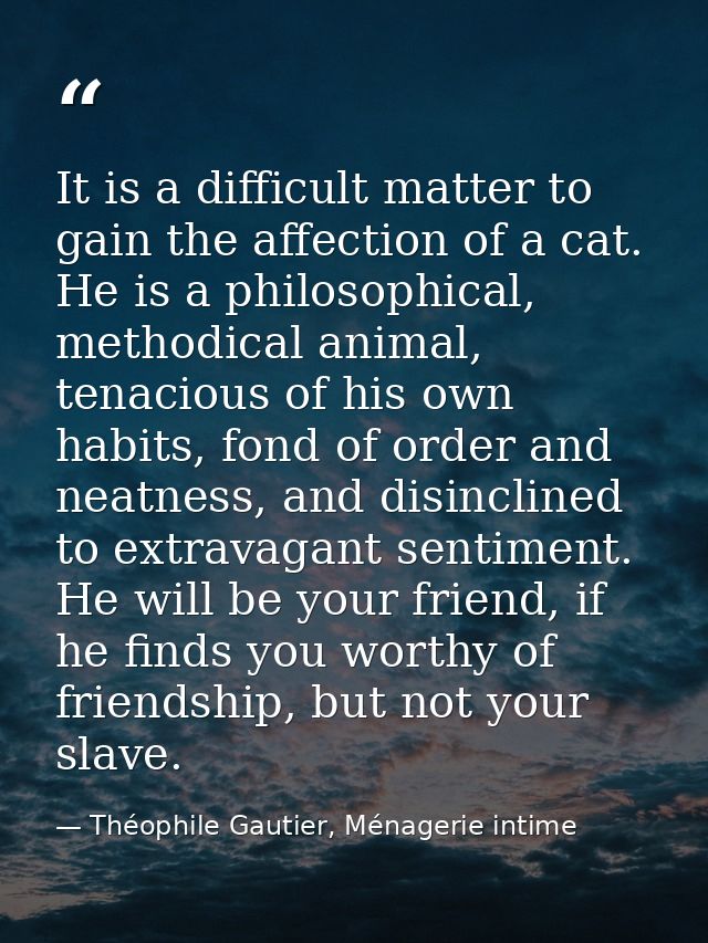 It is a difficult matter to gain the affection of a cat. He is a philosophical, methodical animal, tenacious of his own  — Théophile Gautier, Ménagerie intime