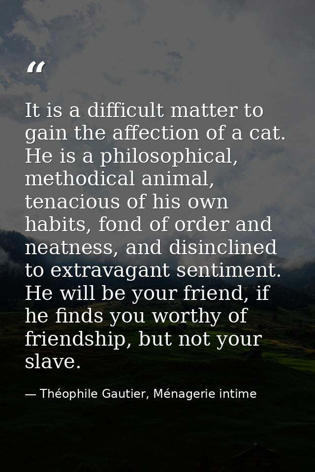 It is a difficult matter to gain the affection of a cat. He is a philosophical, methodical animal, tenacious of his own  — Théophile Gautier, Ménagerie intime