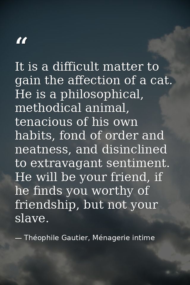 It is a difficult matter to gain the affection of a cat. He is a philosophical, methodical animal, tenacious of his own  — Théophile Gautier, Ménagerie intime
