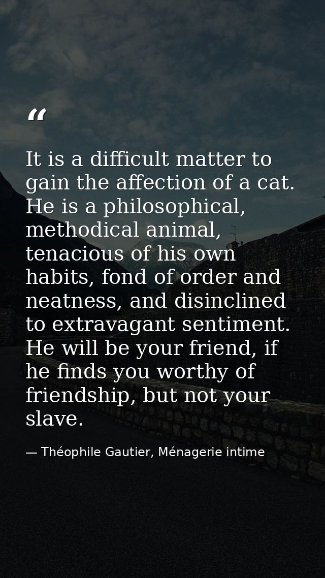 It is a difficult matter to gain the affection of a cat. He is a philosophical, methodical animal, tenacious of his own  — Théophile Gautier, Ménagerie intime