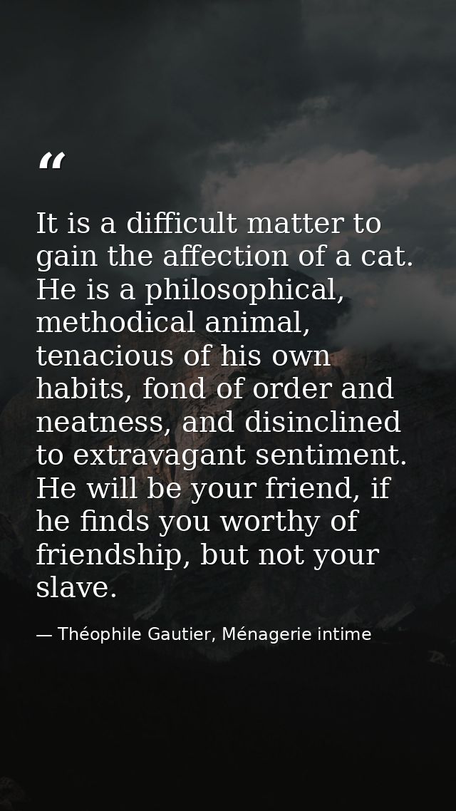 It is a difficult matter to gain the affection of a cat. He is a philosophical, methodical animal, tenacious of his own  — Théophile Gautier, Ménagerie intime