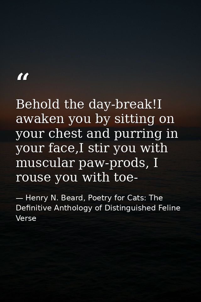 Behold the day-break!I awaken you by sitting on your chest and purring in your face,I stir you with muscular paw-prods,  — Henry N. Beard, Poetry for Cats: The Definitive Anthology of Distinguished Feline Verse