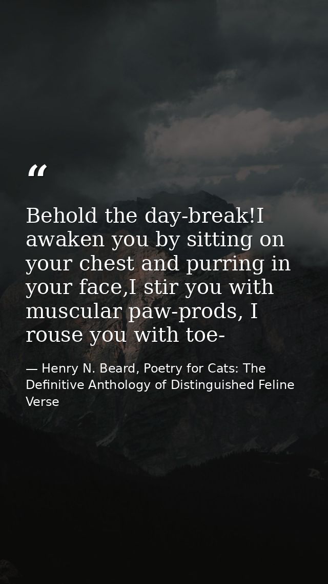 Behold the day-break!I awaken you by sitting on your chest and purring in your face,I stir you with muscular paw-prods,  — Henry N. Beard, Poetry for Cats: The Definitive Anthology of Distinguished Feline Verse