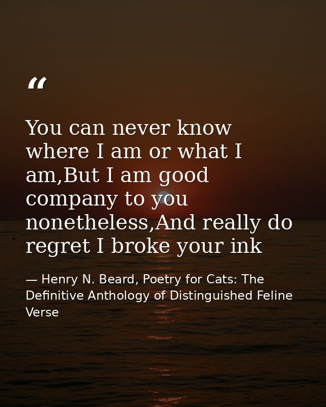 You can never know where I am or what I am,But I am good company to you nonetheless,And really do regret I broke your in — Henry N. Beard, Poetry for Cats: The Definitive Anthology of Distinguished Feline Verse