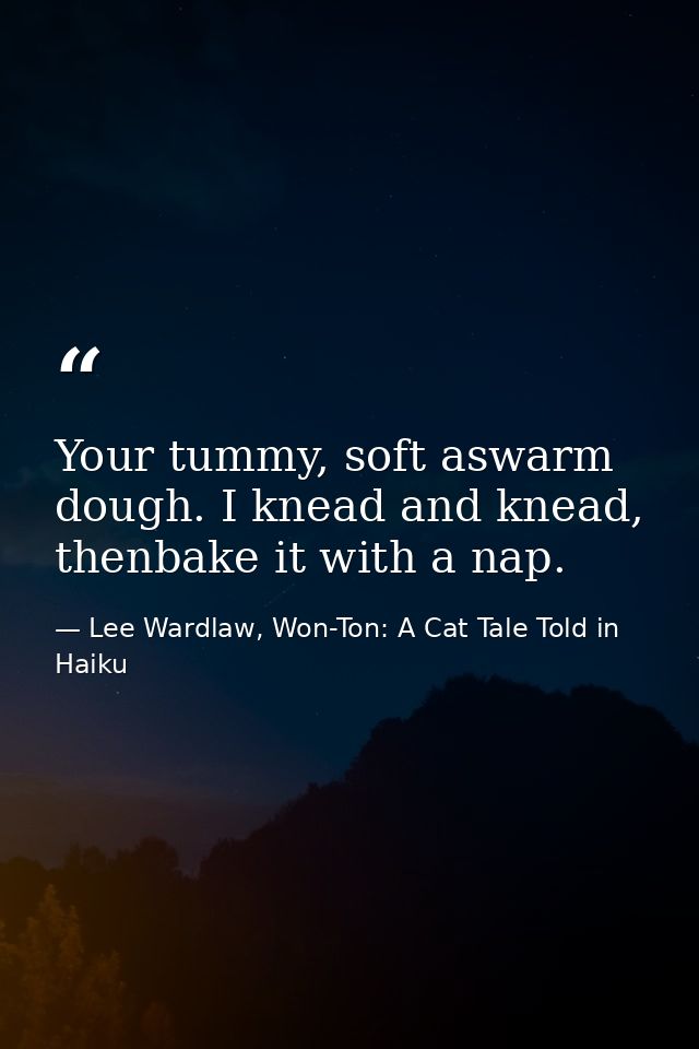 Your tummy, soft aswarm dough. I knead and knead, thenbake it with a nap. — Lee Wardlaw, Won-Ton: A Cat Tale Told in Haiku