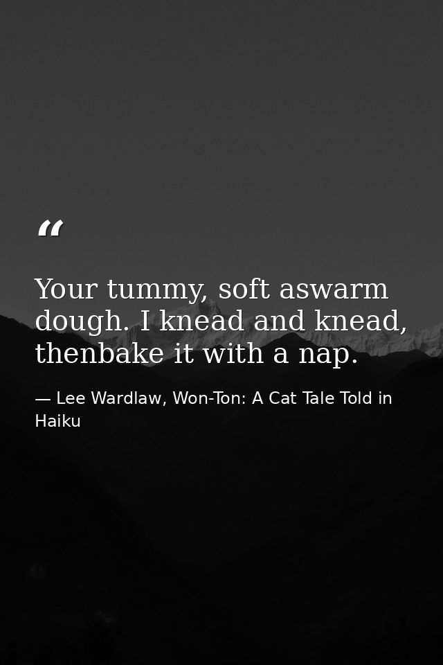 Your tummy, soft aswarm dough. I knead and knead, thenbake it with a nap. — Lee Wardlaw, Won-Ton: A Cat Tale Told in Haiku