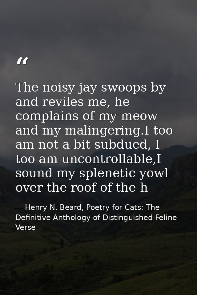 The noisy jay swoops by and reviles me, he complains of my meow and my malingering.I too am not a bit subdued, I too am  — Henry N. Beard, Poetry for Cats: The Definitive Anthology of Distinguished Feline Verse