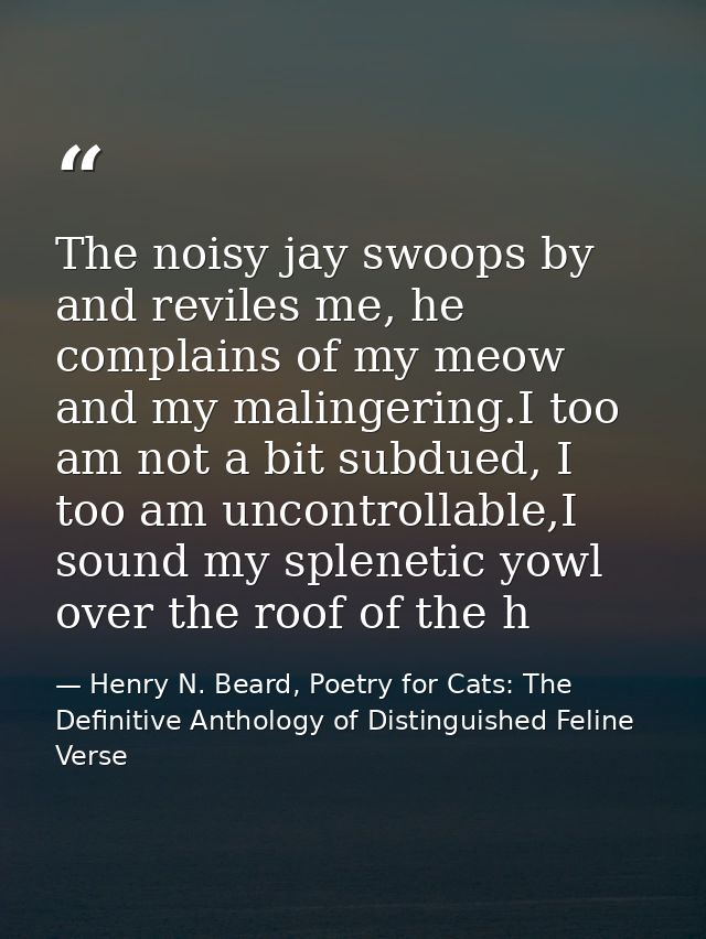 The noisy jay swoops by and reviles me, he complains of my meow and my malingering.I too am not a bit subdued, I too am  — Henry N. Beard, Poetry for Cats: The Definitive Anthology of Distinguished Feline Verse