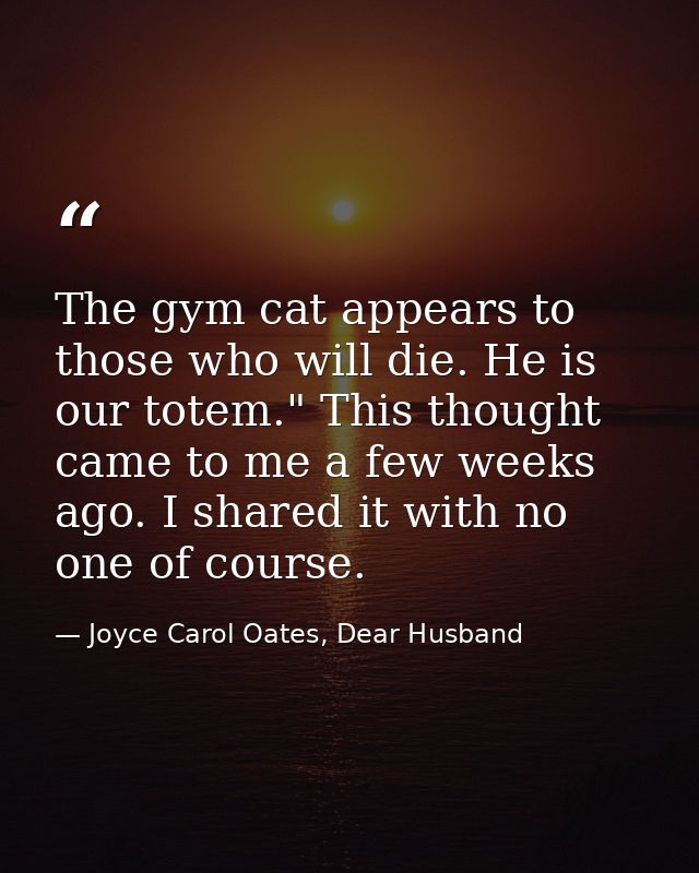 The gym cat appears to those who will die. He is our totem." This thought came to me a few weeks ago. I shared it with n — Joyce Carol Oates, Dear Husband