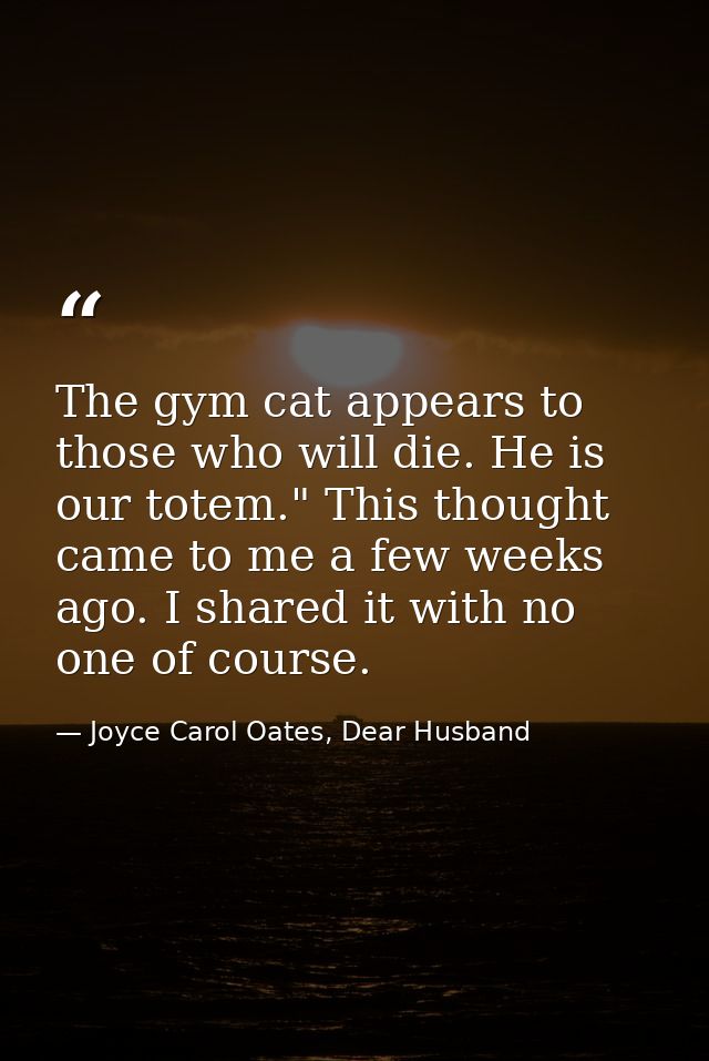 The gym cat appears to those who will die. He is our totem." This thought came to me a few weeks ago. I shared it with n — Joyce Carol Oates, Dear Husband