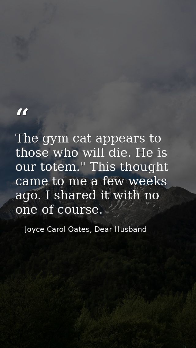 The gym cat appears to those who will die. He is our totem." This thought came to me a few weeks ago. I shared it with n — Joyce Carol Oates, Dear Husband