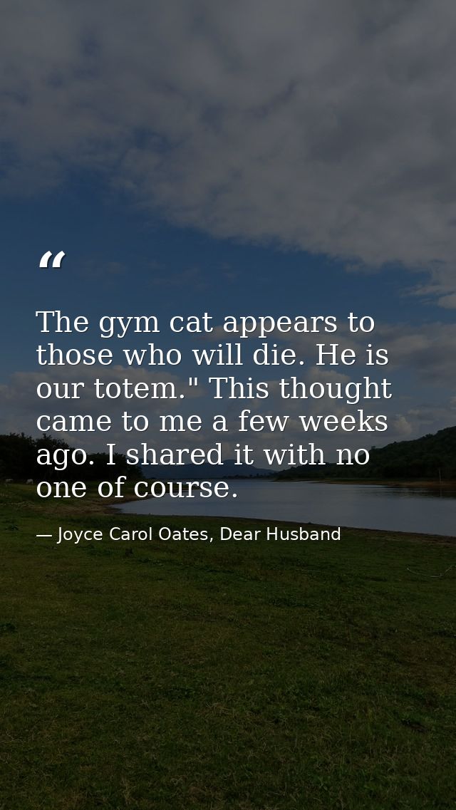 The gym cat appears to those who will die. He is our totem." This thought came to me a few weeks ago. I shared it with n — Joyce Carol Oates, Dear Husband