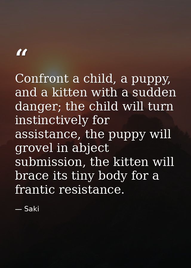 Confront a child, a puppy, and a kitten with a sudden danger; the child will turn instinctively for assistance, the pupp — Saki