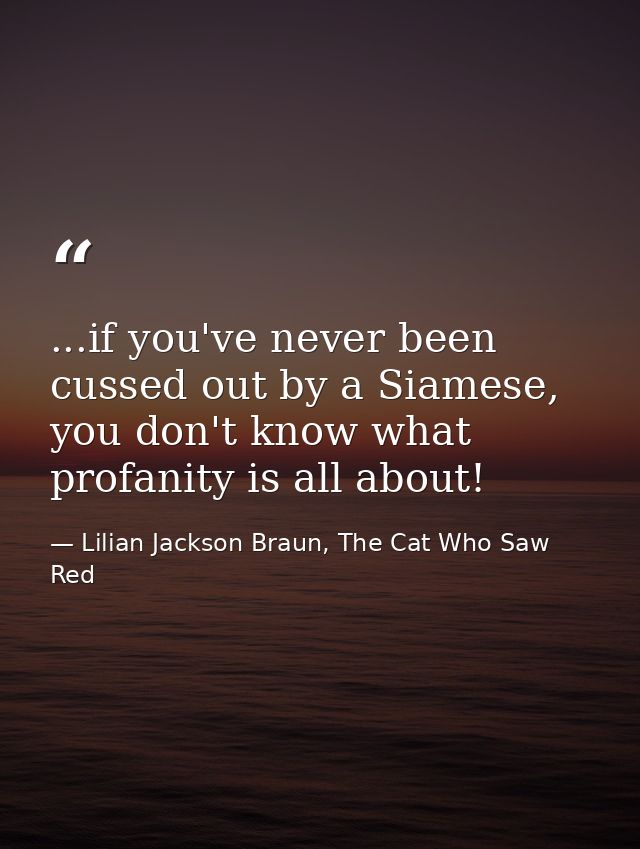 ...if you've never been cussed out by a Siamese, you don't know what profanity is all about! — Lilian Jackson Braun, The Cat Who Saw Red