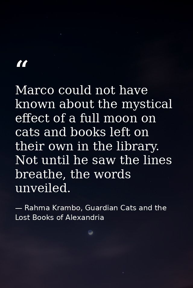 Marco could not have known about the mystical effect of a full moon on cats and books left on their own in the library.  — Rahma Krambo, Guardian Cats and the Lost Books of Alexandria
