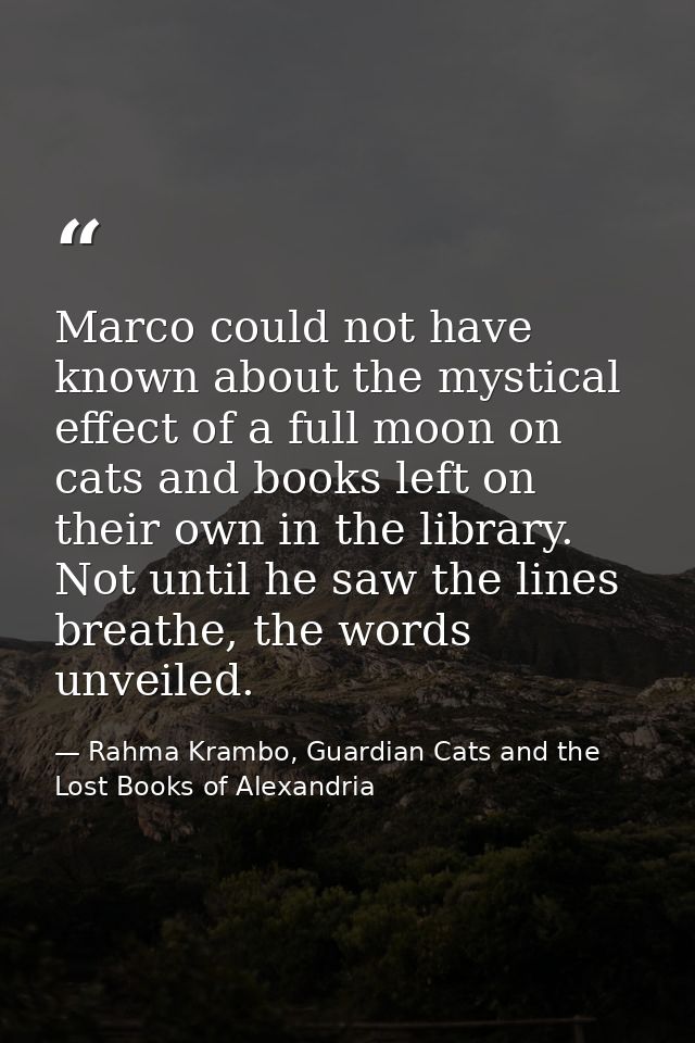 Marco could not have known about the mystical effect of a full moon on cats and books left on their own in the library.  — Rahma Krambo, Guardian Cats and the Lost Books of Alexandria