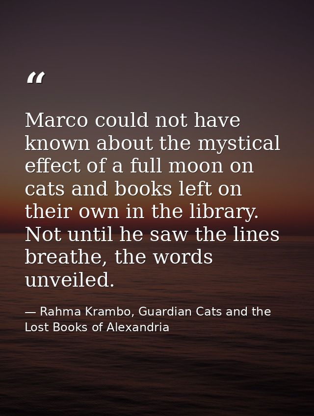 Marco could not have known about the mystical effect of a full moon on cats and books left on their own in the library.  — Rahma Krambo, Guardian Cats and the Lost Books of Alexandria