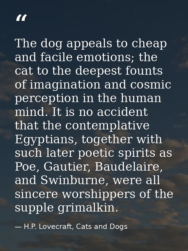 The dog appeals to cheap and facile emotions; the cat to the deepest founts of imagination and cosmic perception in the  — H.P. Lovecraft, Cats and Dogs