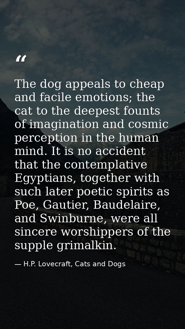 The dog appeals to cheap and facile emotions; the cat to the deepest founts of imagination and cosmic perception in the  — H.P. Lovecraft, Cats and Dogs