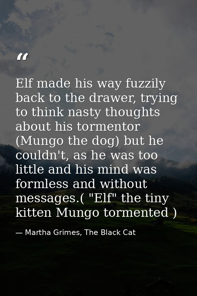Elf made his way fuzzily back to the drawer, trying to think nasty thoughts about his tormentor (Mungo the dog) but he c — Martha Grimes, The Black Cat