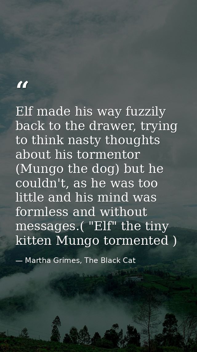 Elf made his way fuzzily back to the drawer, trying to think nasty thoughts about his tormentor (Mungo the dog) but he c — Martha Grimes, The Black Cat