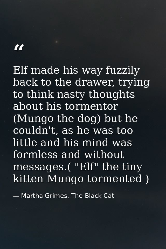 Elf made his way fuzzily back to the drawer, trying to think nasty thoughts about his tormentor (Mungo the dog) but he c — Martha Grimes, The Black Cat