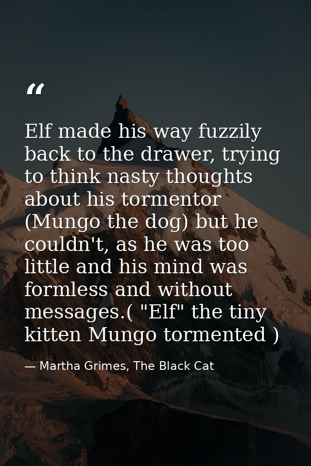 Elf made his way fuzzily back to the drawer, trying to think nasty thoughts about his tormentor (Mungo the dog) but he c — Martha Grimes, The Black Cat