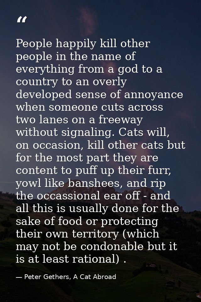 People happily kill other people in the name of everything from a god to a country to an overly developed sense of annoy — Peter Gethers, A Cat Abroad