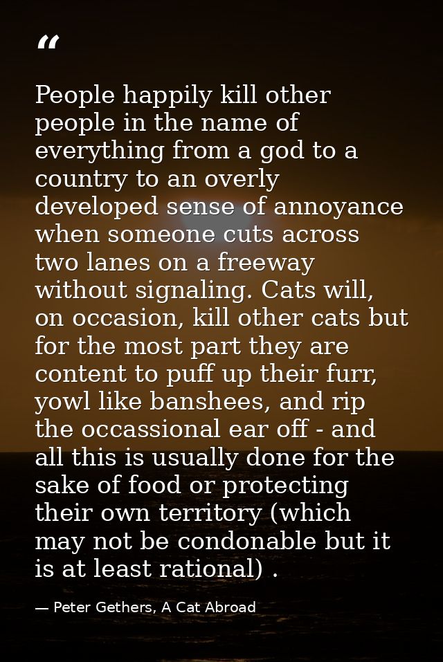 People happily kill other people in the name of everything from a god to a country to an overly developed sense of annoy — Peter Gethers, A Cat Abroad