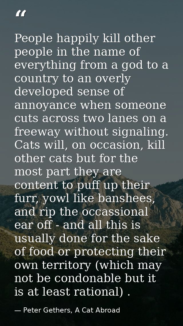 People happily kill other people in the name of everything from a god to a country to an overly developed sense of annoy — Peter Gethers, A Cat Abroad