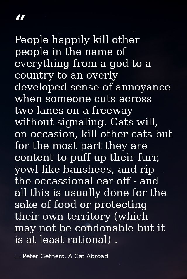 People happily kill other people in the name of everything from a god to a country to an overly developed sense of annoy — Peter Gethers, A Cat Abroad