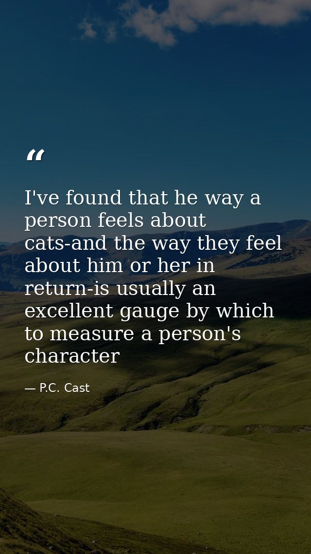 I've found that he way a person feels about cats-and the way they feel about him or her in return-is usually an excellen — P.C. Cast