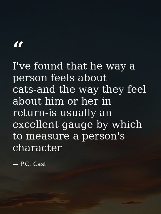 I've found that he way a person feels about cats-and the way they feel about him or her in return-is usually an excellen — P.C. Cast